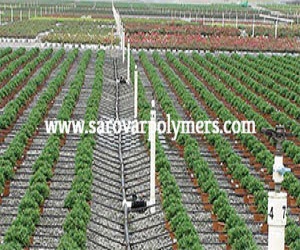 Drip irrigation lines laid between crop rows, shown on Sarovar Polymers' product page